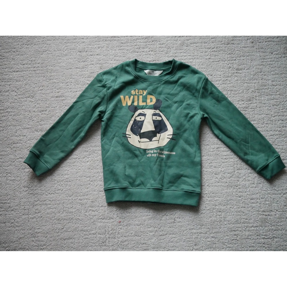 HM Kids Stay Wild Panda Graphic Sweatshirt Green Size 6X/7 Pullover